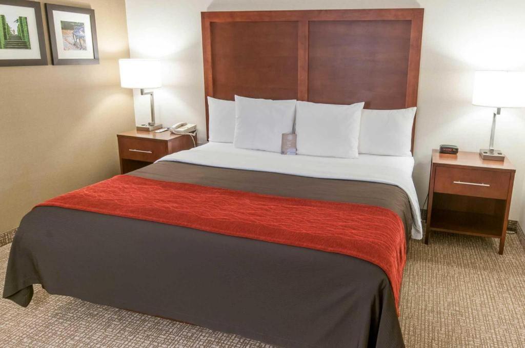 Comfort Inn Quantico Stafford Εξωτερικό φωτογραφία
