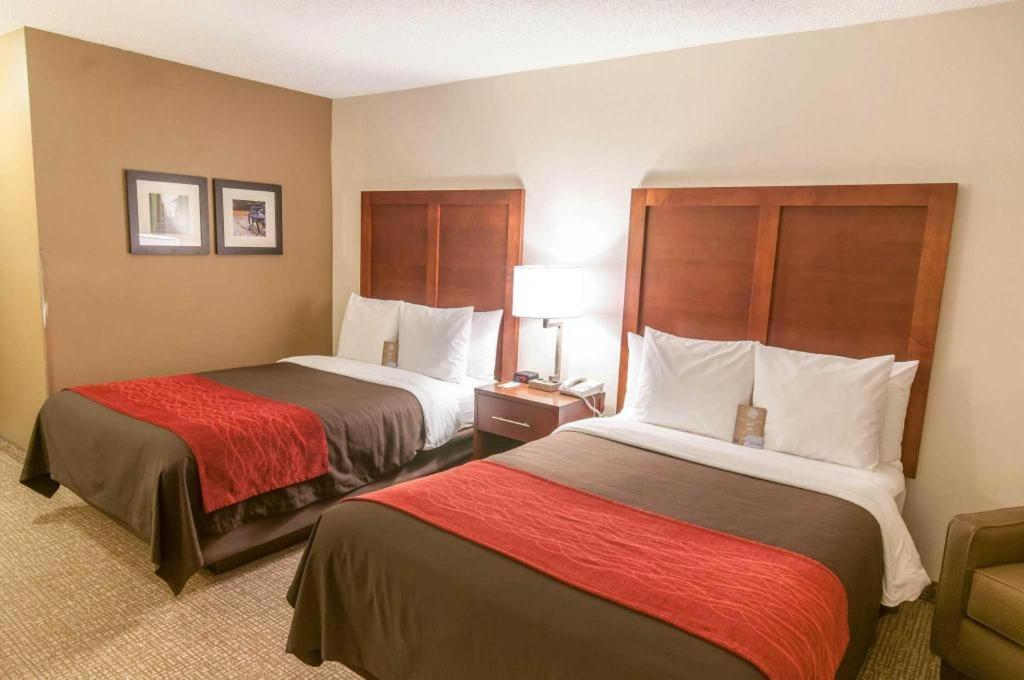 Comfort Inn Quantico Stafford Εξωτερικό φωτογραφία