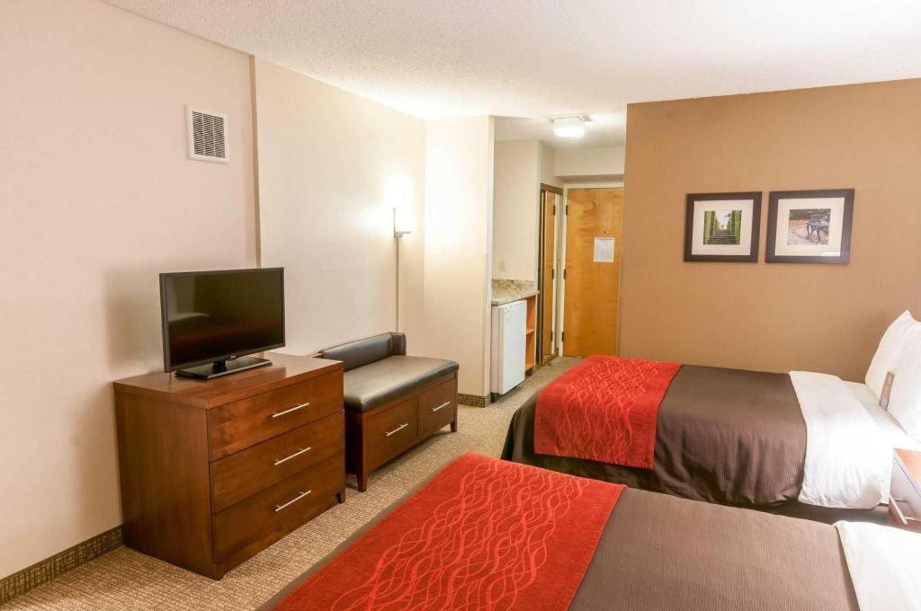 Comfort Inn Quantico Stafford Εξωτερικό φωτογραφία