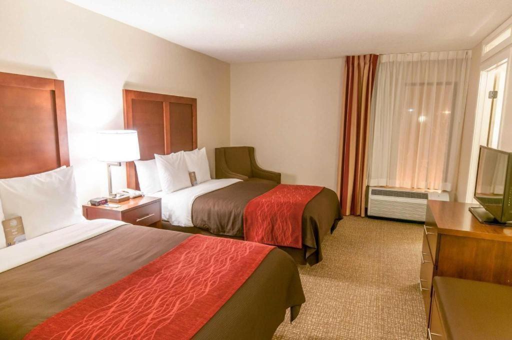 Comfort Inn Quantico Stafford Εξωτερικό φωτογραφία